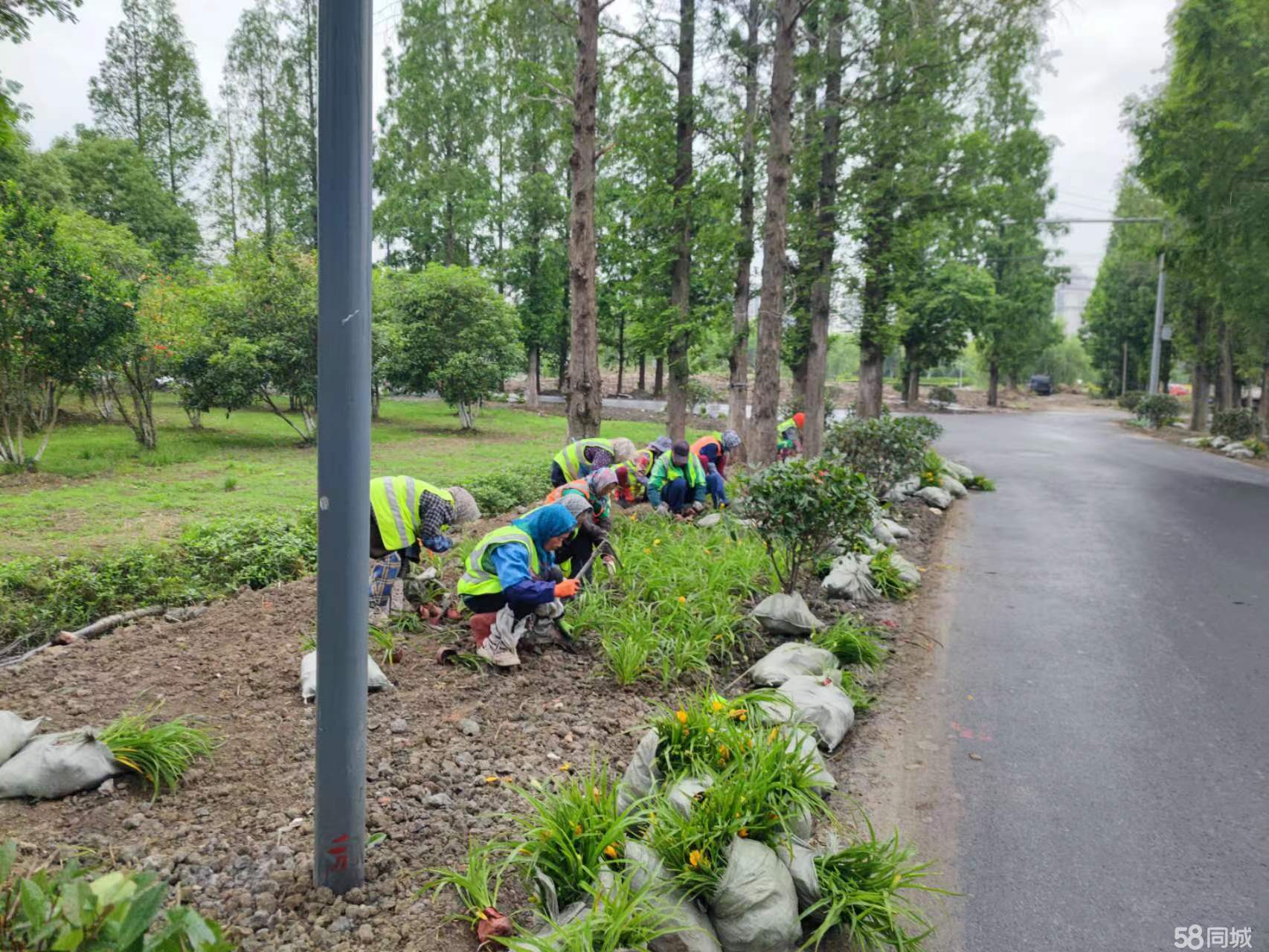 常州市荣轩园林绿化工程有限公司