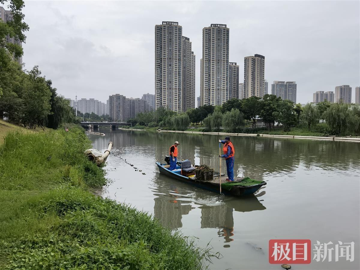 履行“十大工程”晋升都邑情况品格 武汉本年弥补105公里绿道(图10)